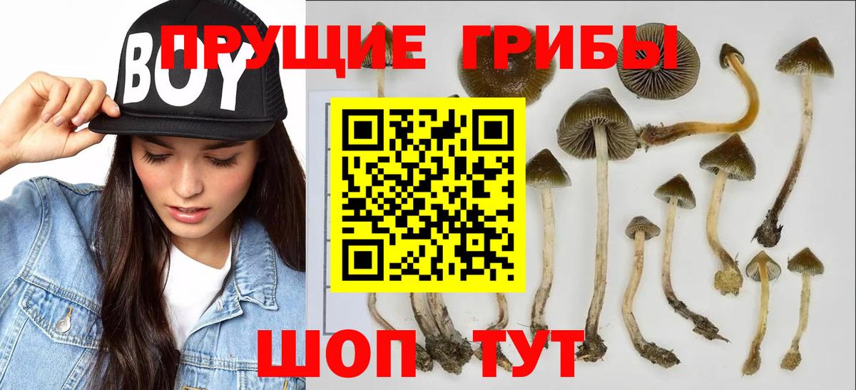 Псилоцибиновые грибы ЛСД Краснотурьинск